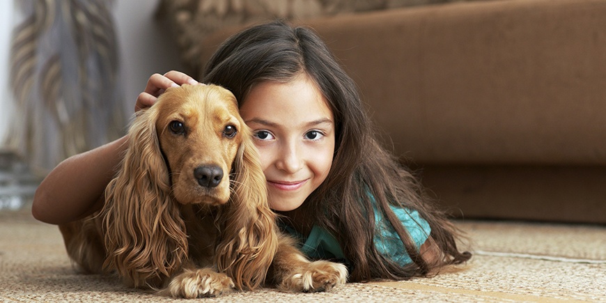 Tasty Treat Pet Food and Pet Supplies
